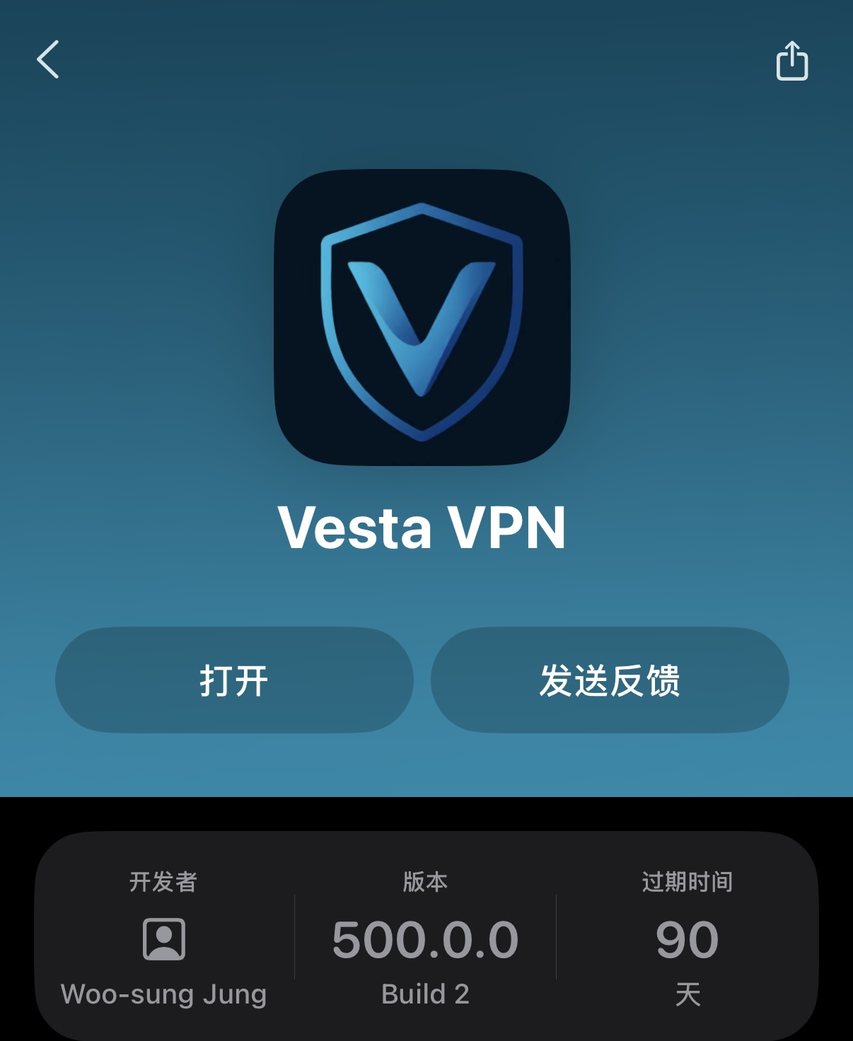 在 TestFlight 中安装 VestaVPN 的示意
